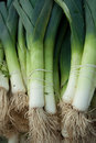 leeks