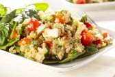 vegetarian