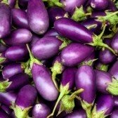 purple eggplant